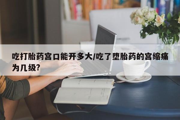 卖打胎药的医生微信号吃打胎药宫口能开多大/吃了堕胎药的宫缩痛为几级?