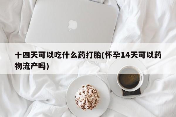 卖打胎药的医生微信号十四天可以吃什么药打胎(怀孕14天可以药物流产吗)