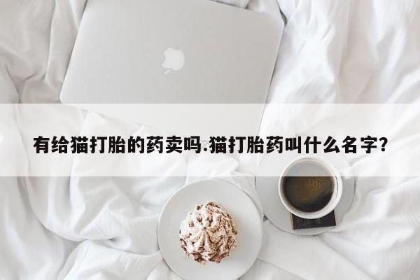 卖打胎药的医生微信号有给猫打胎的药卖吗.猫打胎药叫什么名字？
